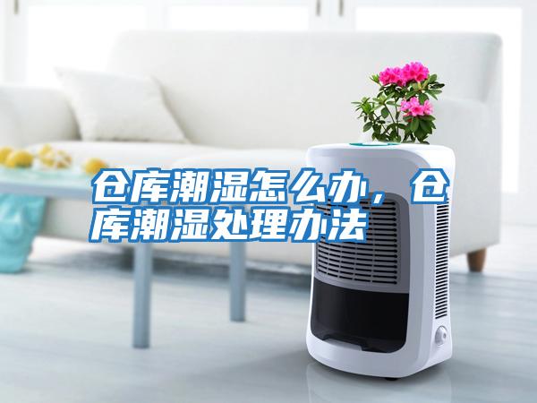 倉庫潮濕怎么辦，倉庫潮濕處理辦法
