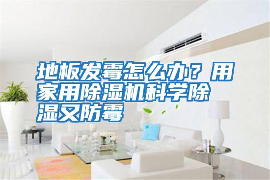地板發(fā)霉怎么辦？用家用除濕機(jī)科學(xué)除濕又防霉