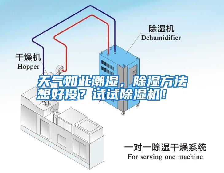 天氣如此潮濕，除濕方法想好沒？試試除濕機(jī)！