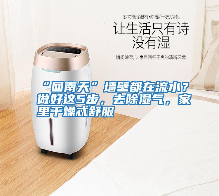 “回南天”墻壁都在流水？做好這5步，去除濕氣，家里干燥忒舒服