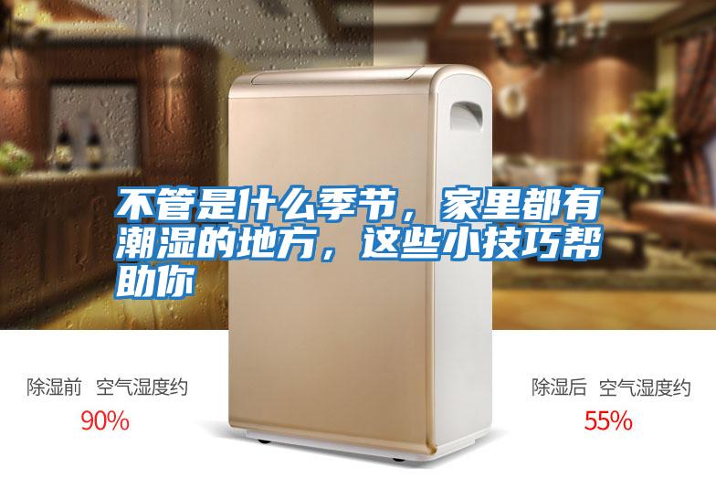 不管是什么季節，家里都有潮濕的地方，這些小技巧幫助你