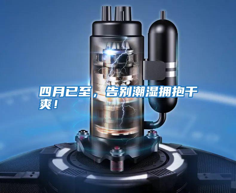 四月已至，告別潮濕擁抱干爽！