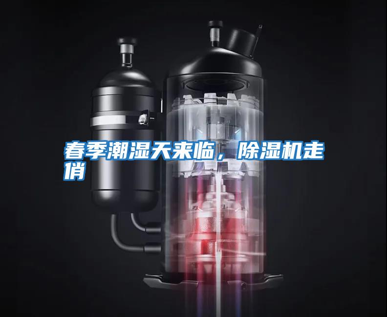 春季潮濕天來臨，除濕機走俏