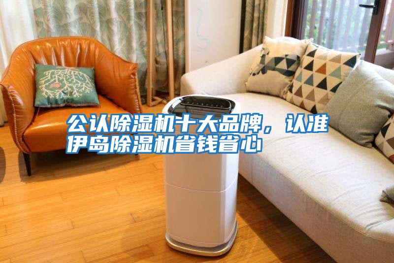公認除濕機十大品牌，認準伊島除濕機省錢省心