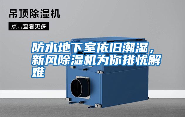 防水地下室依舊潮濕，新風除濕機為你排憂解難