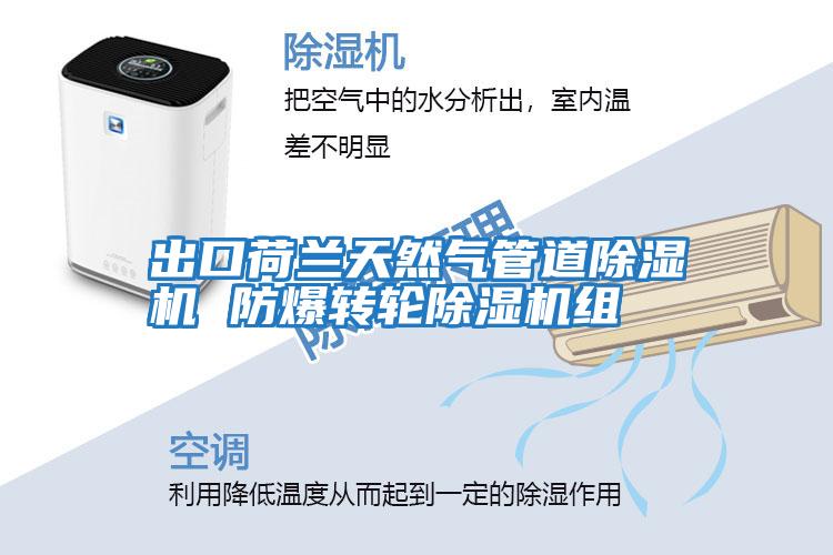 出口荷蘭天然氣管道除濕機 防爆轉輪除濕機組