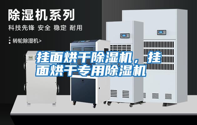 掛面烘干除濕機，掛面烘干專用除濕機