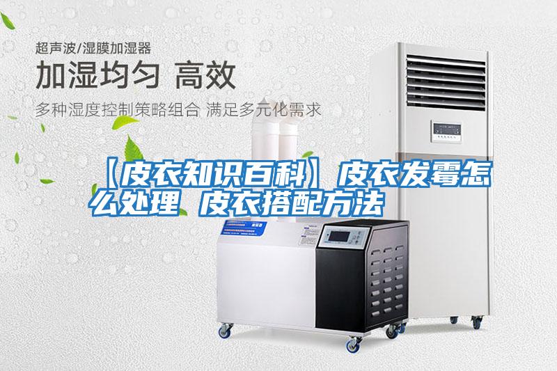 【皮衣知識百科】皮衣發霉怎么處理 皮衣搭配方法