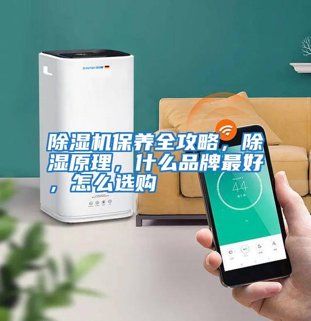 除濕機保養全攻略，除濕原理，什么品牌最好，怎么選購