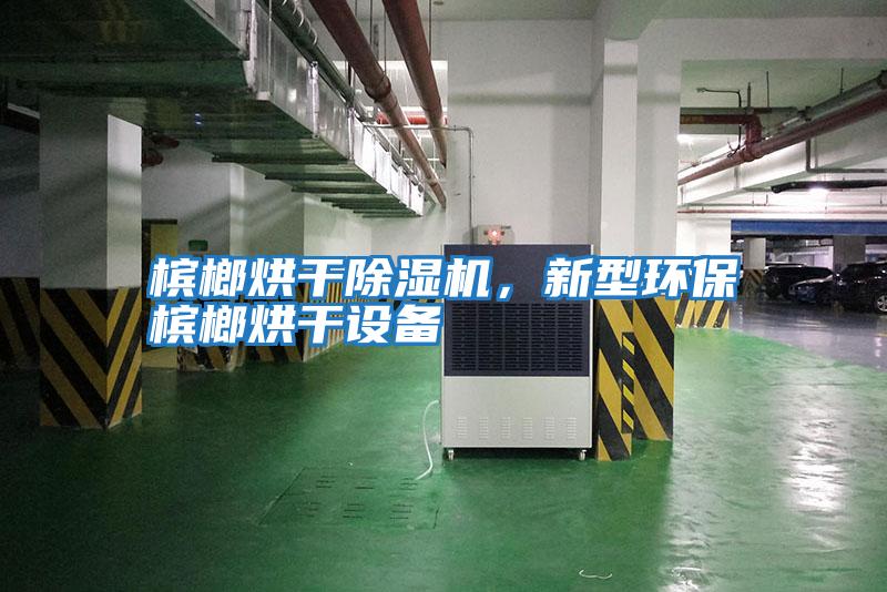 檳榔烘干除濕機，新型環(huán)保檳榔烘干設(shè)備