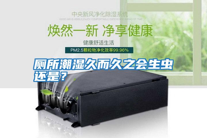 廁所潮濕久而久之會生蟲還是？