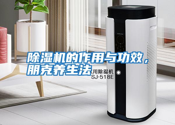 除濕機的作用與功效，朋克養生法