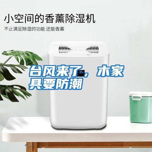 臺風來了，木家具要防潮