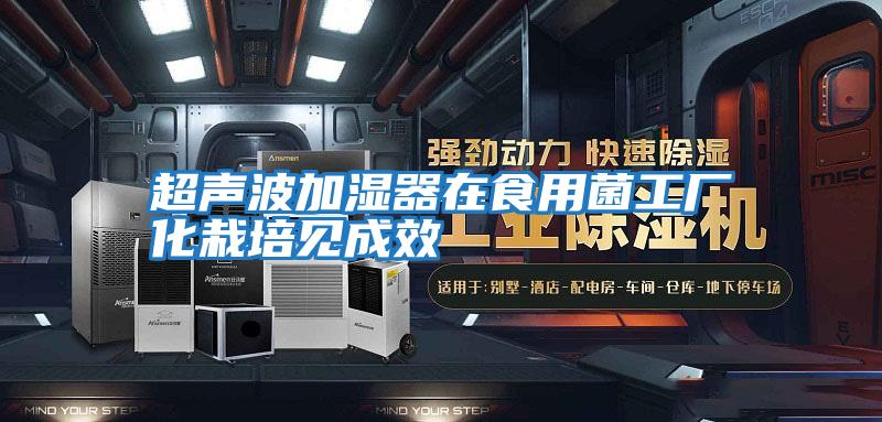 超聲波加濕器在食用菌工廠化栽培見(jiàn)成效