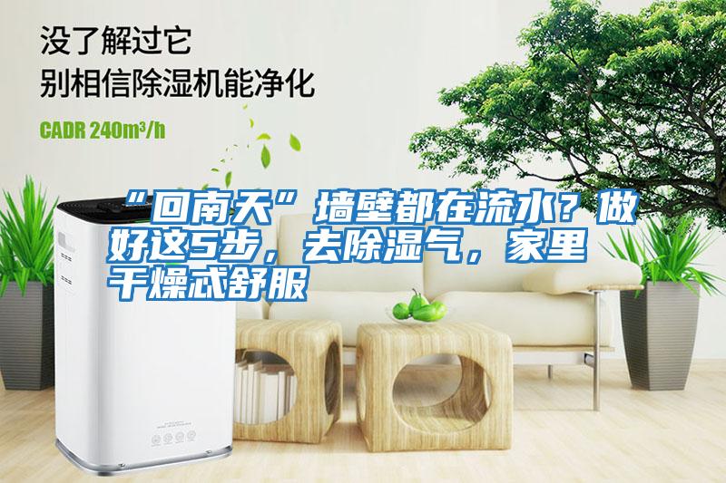 “回南天”墻壁都在流水？做好這5步，去除濕氣，家里干燥忒舒服