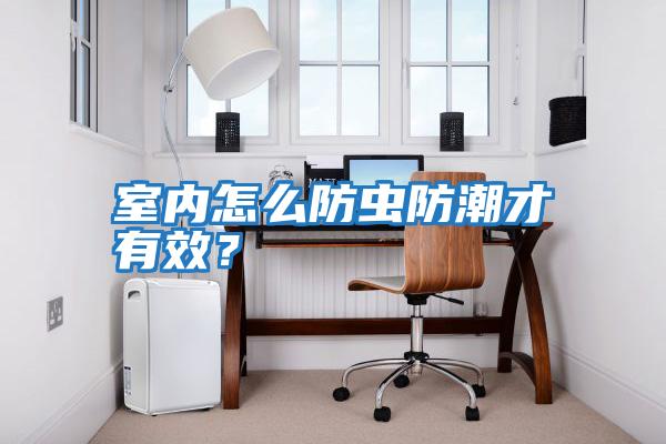 室內怎么防蟲防潮才有效？