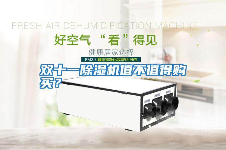 雙十一除濕機值不值得購買？