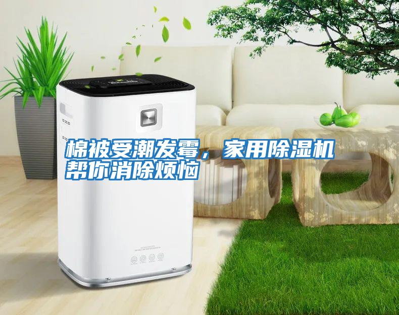 棉被受潮發霉，家用除濕機幫你消除煩惱