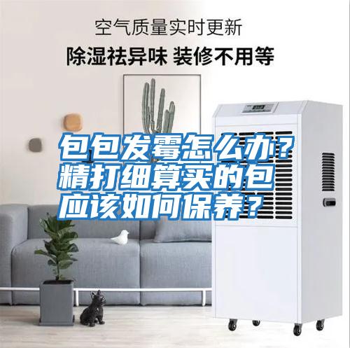 包包發霉怎么辦？精打細算買的包應該如何保養？