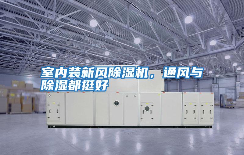 室內裝新風除濕機，通風與除濕都挺好