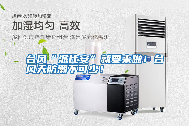 臺風“派比安”就要來啦！臺風天防潮不可少！