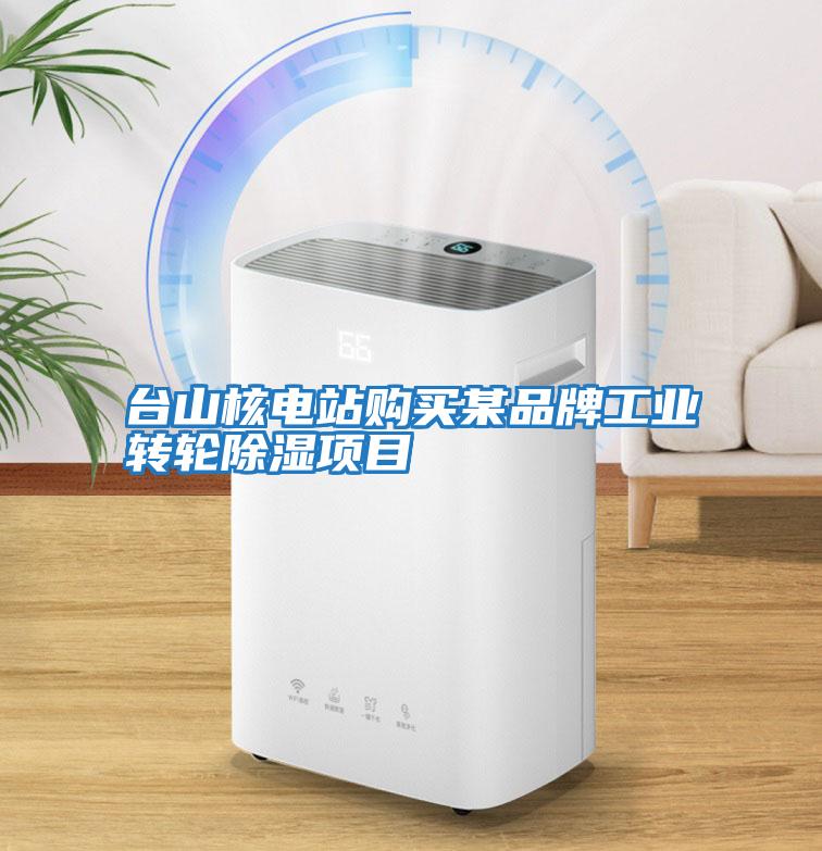 臺山核電站購買某品牌工業轉輪除濕項目