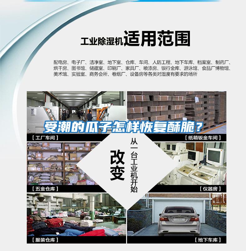 受潮的瓜子怎樣恢復酥脆？