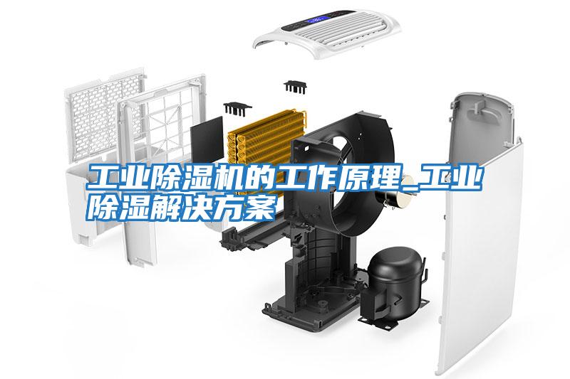 工業除濕機的工作原理_工業除濕解決方案