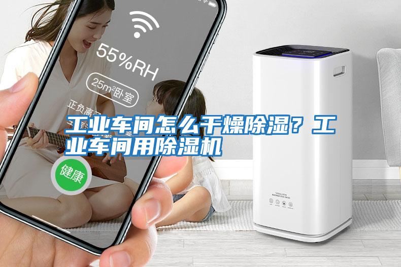 工業(yè)車間怎么干燥除濕？工業(yè)車間用除濕機