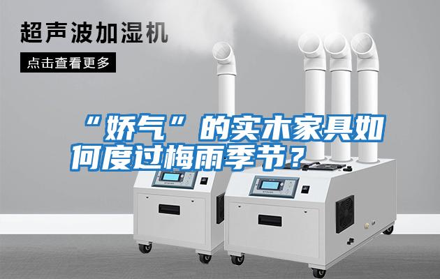 “嬌氣”的實木家具如何度過梅雨季節？