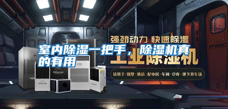 室內除濕一把手，除濕機真的有用