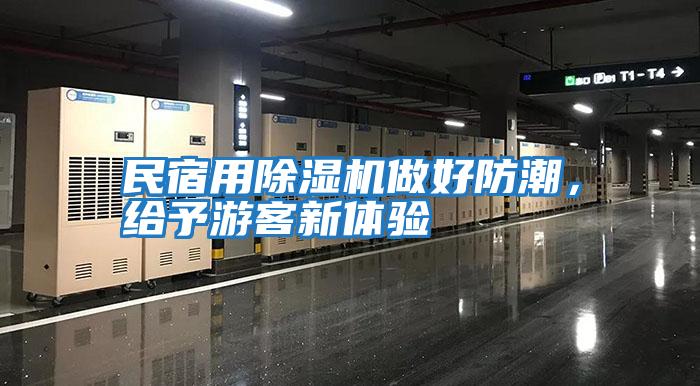 民宿用除濕機做好防潮，給予游客新體驗