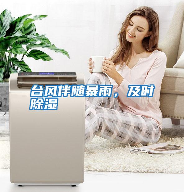 臺風伴隨暴雨，及時除濕