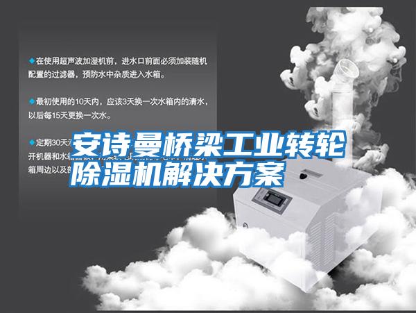 安詩曼橋梁工業轉輪除濕機解決方案