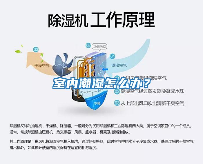 室內潮濕怎么辦？