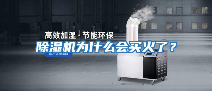 除濕機為什么會買火了？