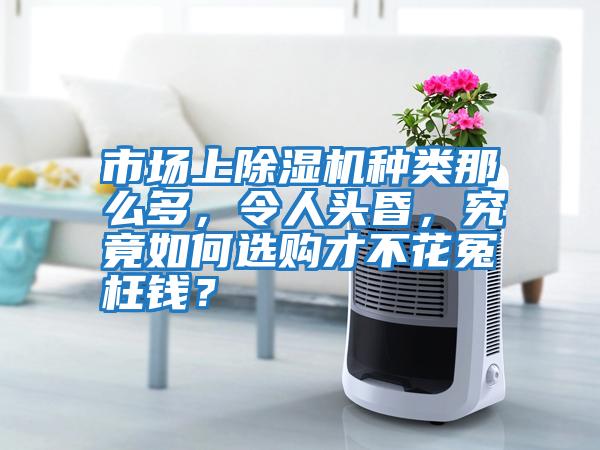 市場上除濕機種類那么多，令人頭昏，究竟如何選購才不花冤枉錢？