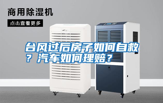 臺風過后房子如何自救？汽車如何理賠？