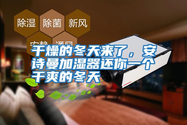 干燥的冬天來了，安詩曼加濕器還你一個干爽的冬天