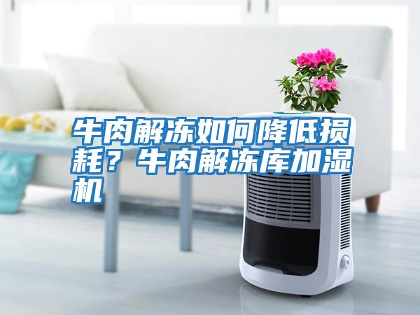 牛肉解凍如何降低損耗?牛肉解凍庫加濕機(jī)