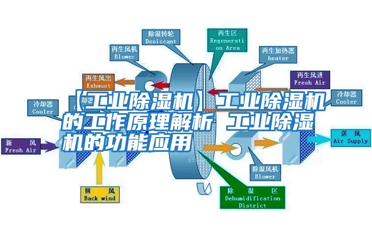 【工業(yè)除濕機】工業(yè)除濕機的工作原理解析 工業(yè)除濕機的功能應用