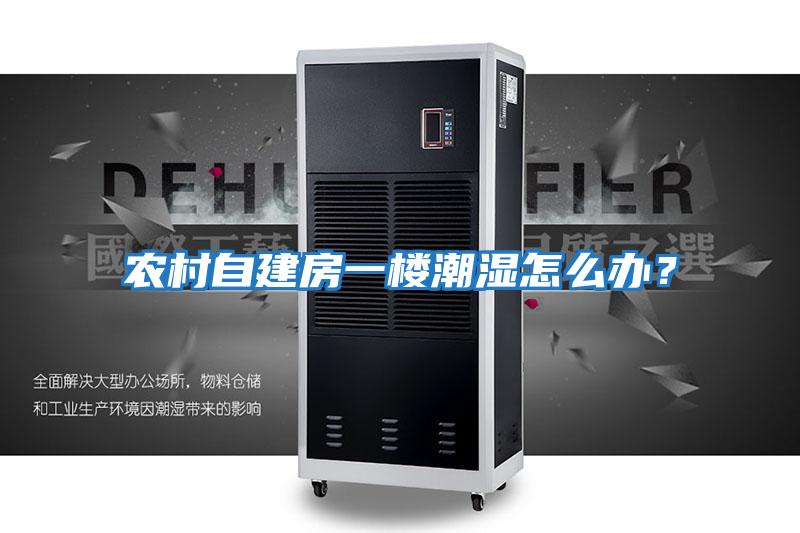 農村自建房一樓潮濕怎么辦？