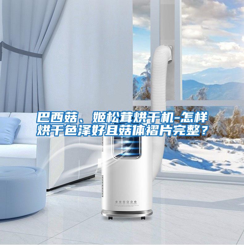 巴西菇、姬松茸烘干機(jī)-怎樣烘干色澤好且菇體褶片完整？