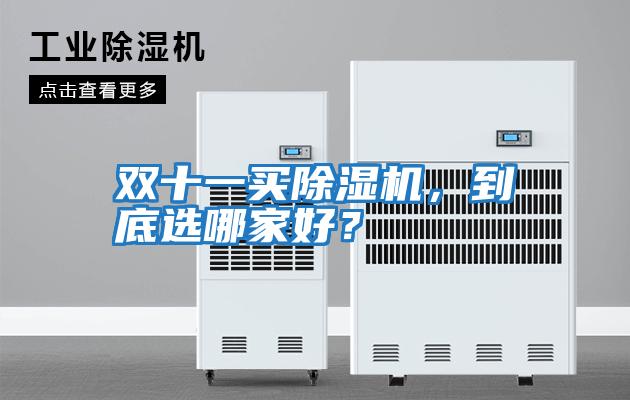 雙十一買除濕機，到底選哪家好？