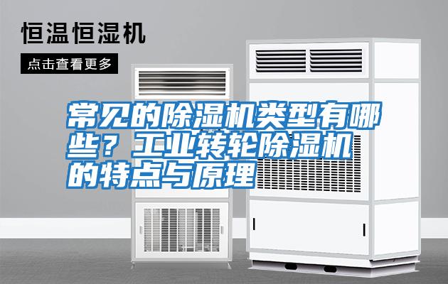 常見的除濕機類型有哪些？工業轉輪除濕機的特點與原理