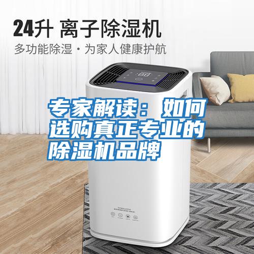 專家解讀：如何選購真正專業的除濕機品牌