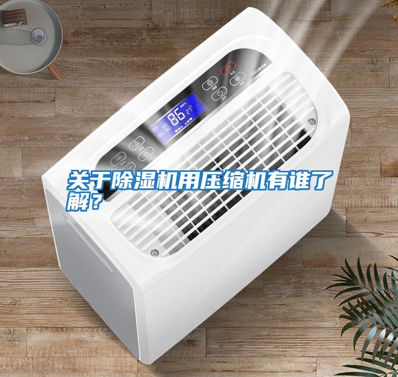 關(guān)于除濕機(jī)用壓縮機(jī)有誰了解？