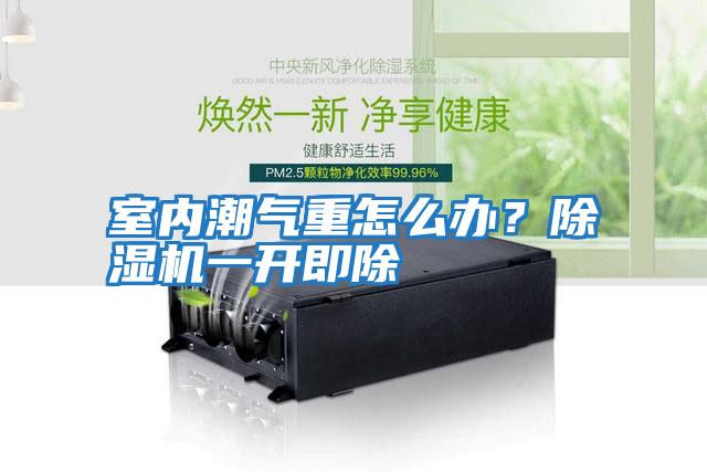 室內潮氣重怎么辦？除濕機一開即除
