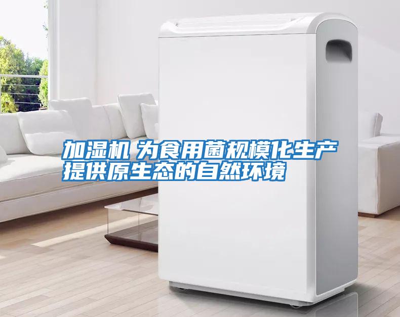 加濕機　為食用菌規模化生產提供原生態的自然環境