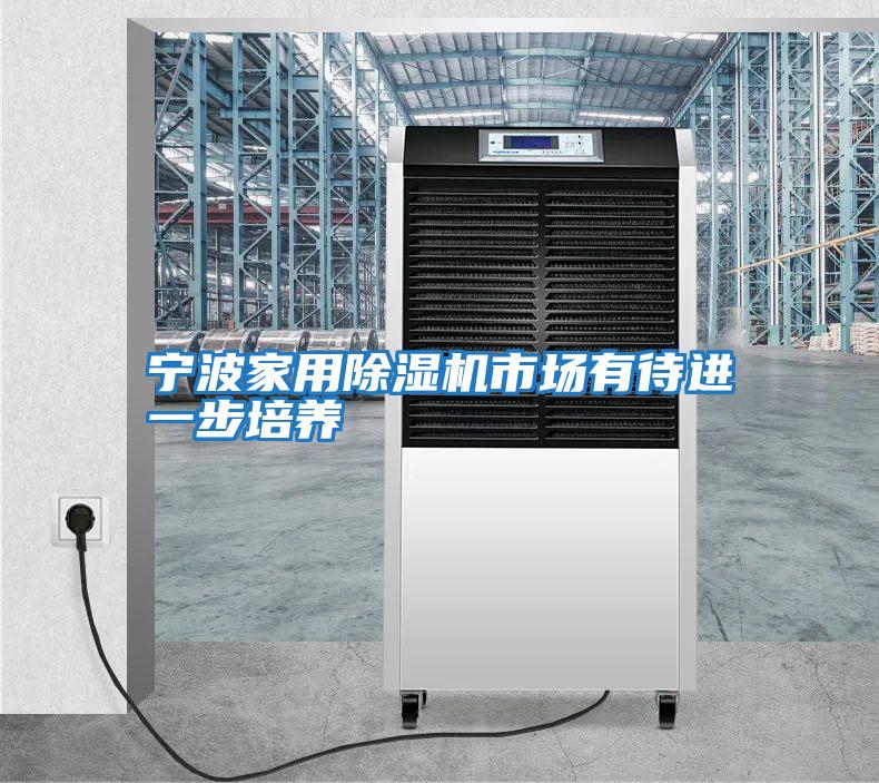 寧波家用除濕機市場有待進(jìn)一步培養(yǎng)